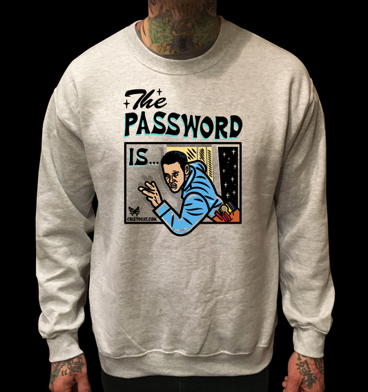 PASSWORD IS GREY CREWNECK SWEATER